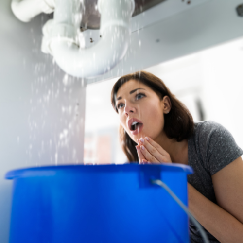 Emergency Plumbing Services